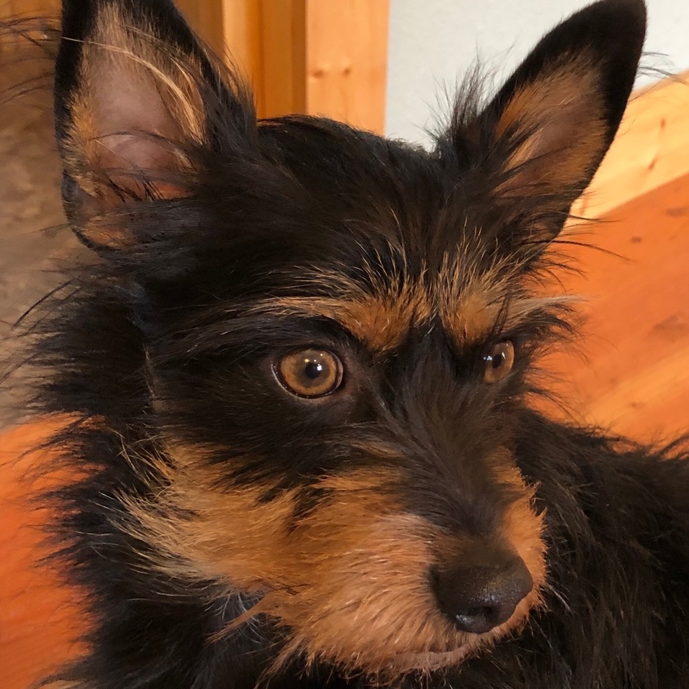 Meet your Posher, Janette